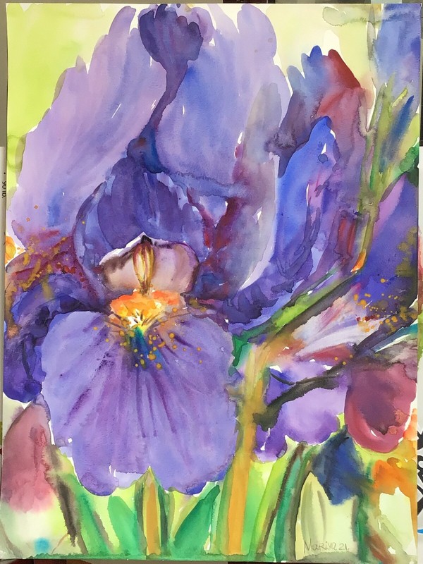 PURPLE IRIS .Original Watercolor Painting gallery
