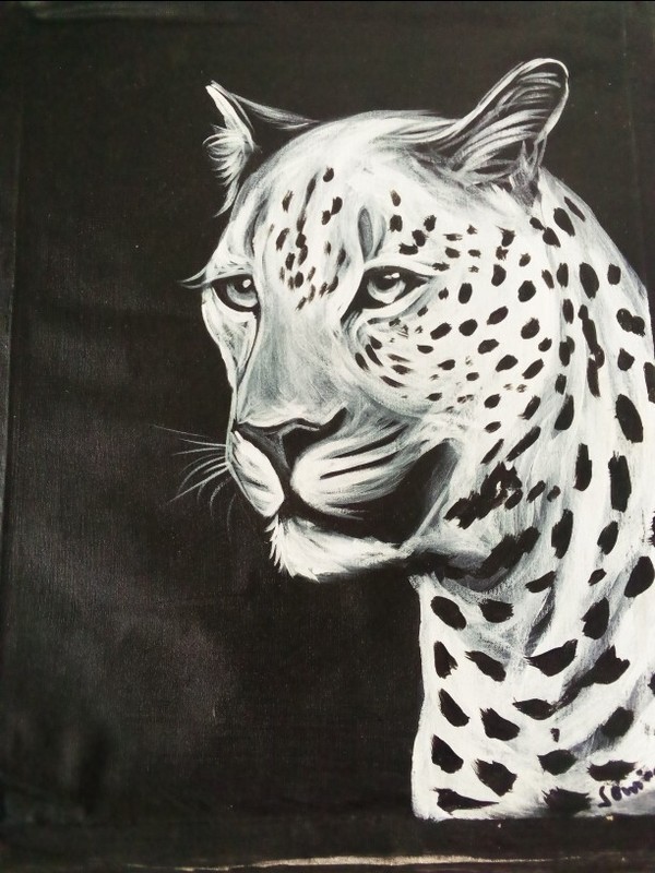 african lion potrait