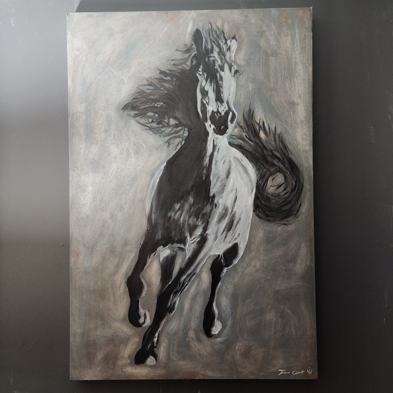Running Wild By Timothy J Casey IV horse painting original oil signed