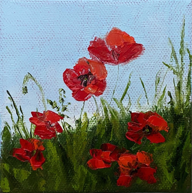 Poppy Oil Painting Original Wildflower Meadow Poppy Field Small Wall Art 4″x4″