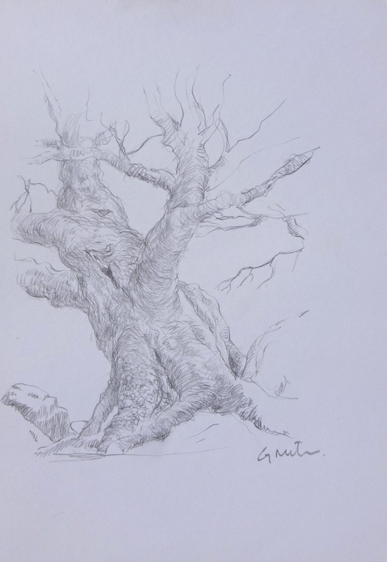 GERRY MILLER Original Drawing «Tree.» Graphite pencil on paper.15x21cm