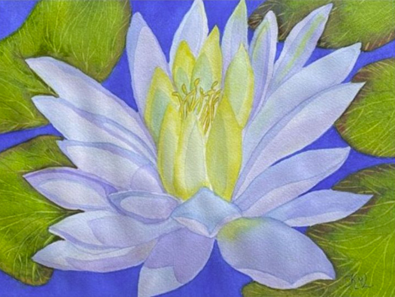 PAINTING WATERCOLOR 11X14 & DOUBLE WHITE MAT 16X20 FLOWER WATER LILY BLUE PURPLE