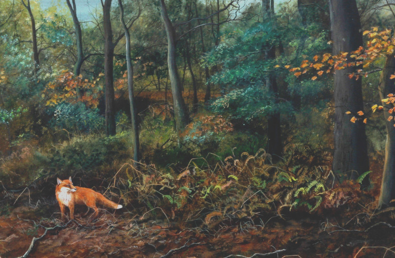 Jeremy Paul (b. 1954) – Original Acrylic Painting – Fox in a Woodland.