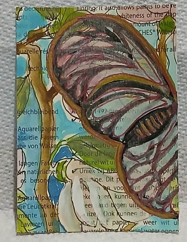 OOAK Naïve Outsider Art ACEO – Magnolia & Glass‑Wing Butterfly on Arches Cover S