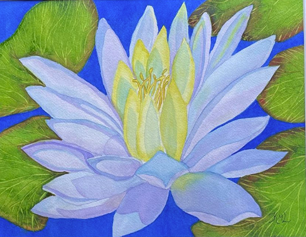 PAINTING WATERCOLOR 11X14 MAT 16X20 FLOWER WATER LILY BLUE PURPLE ORIGINAL ART