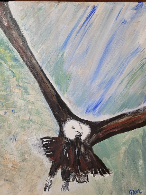 Eagle Swooping Vibrant Abstract Expressionism Canvas Painting gallery