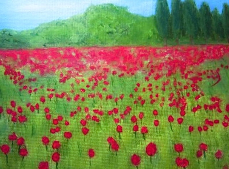 A FIELD OF RED POPPIES