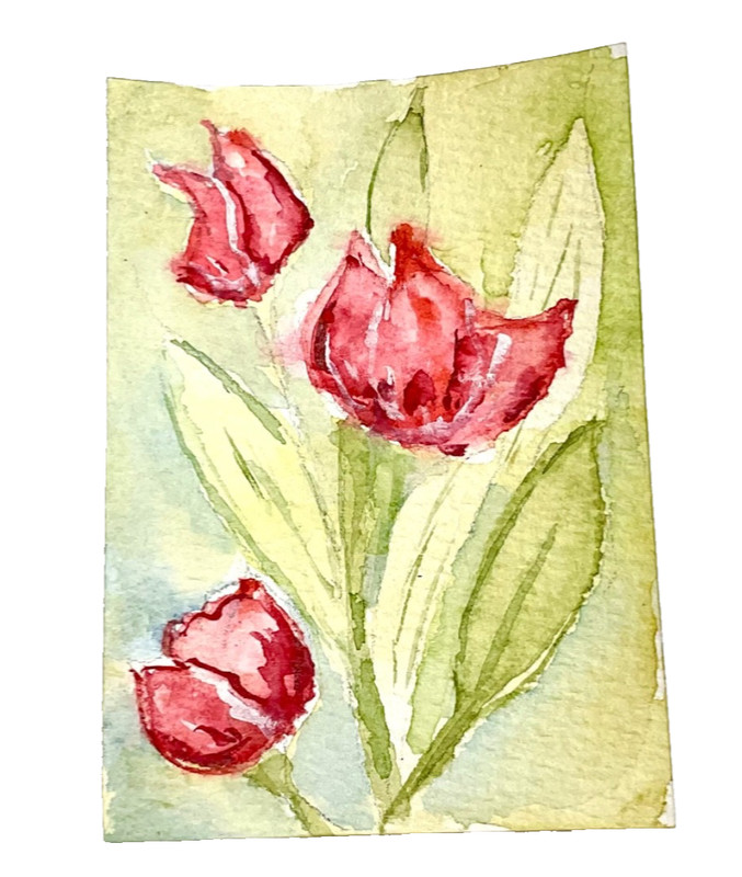 ACEO Original tulips flower pink ATC OOAK watercolor Cherie Donnell