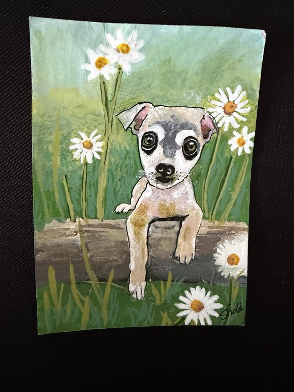 ACEO “Puppy Eyes” Acrylic Painting By Sheila Lofgreen