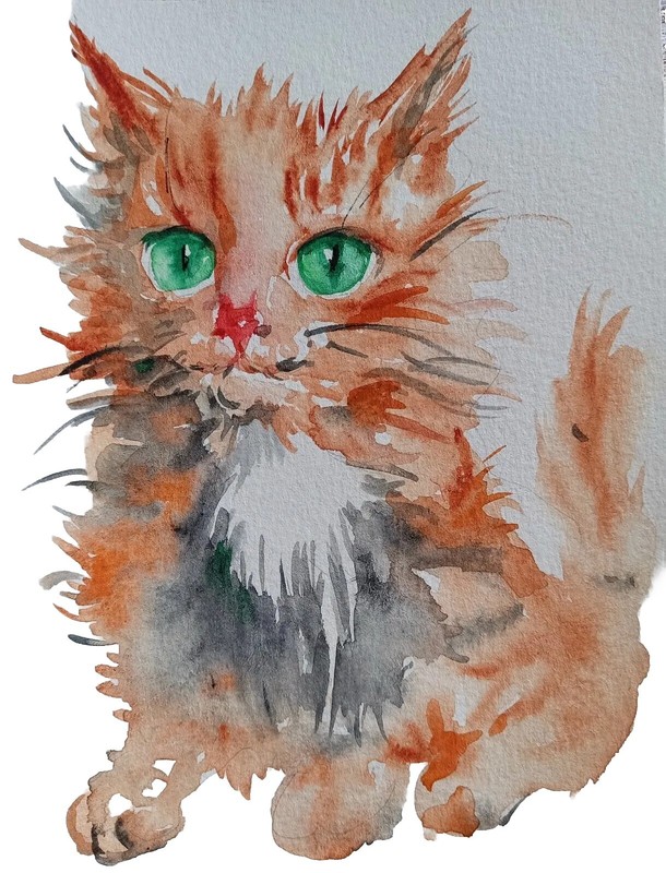 Original Ginger maine coon cat art painting,pet lover best gift,orange kitten