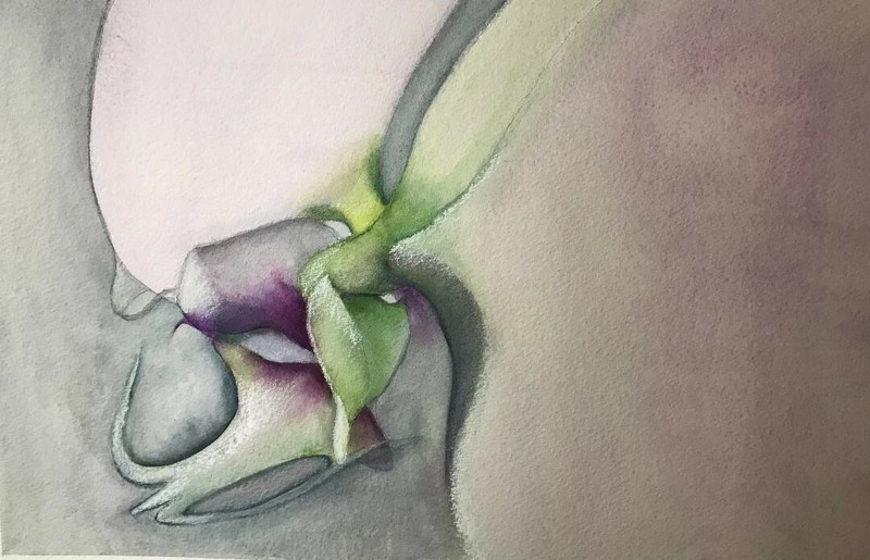 new and original watercolor of White Orchid close-up