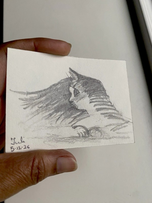 ACEO Original Art, Tiny Art, ATC Card Sketch Signed Lazy Cat Kitty gallery