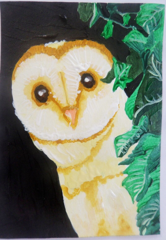 Original ACEO Art Card OWL Painting Miniature Ooak Acrylic sri lanka A079