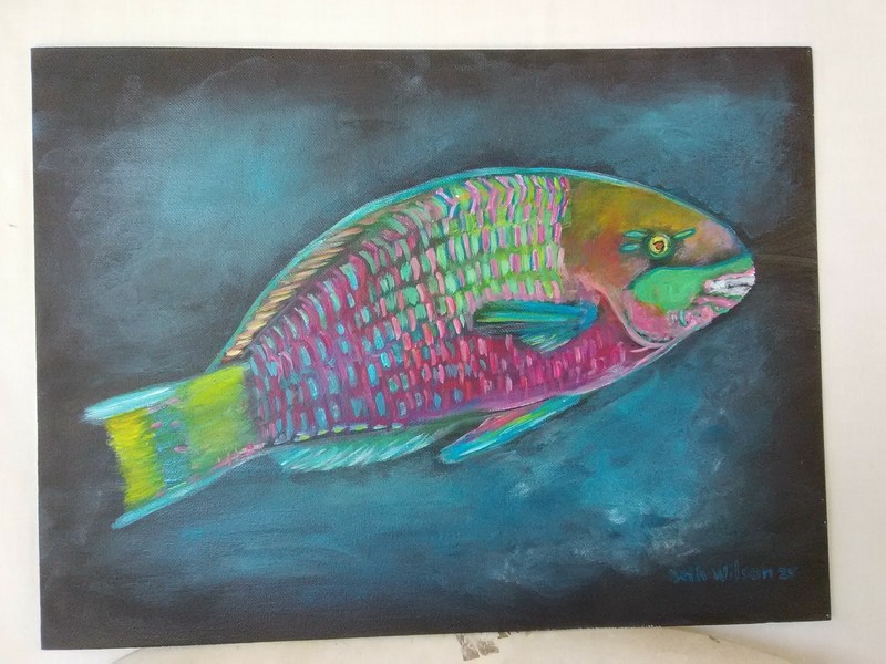 Parrotfish Sea Life Original Hand Painting 11X14 Canvas Wall Art Artwork Decor gallery