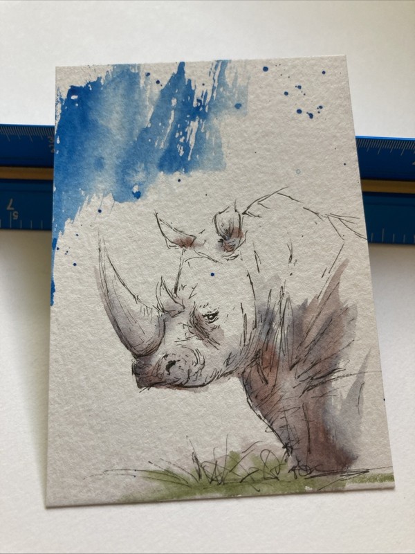 ACEO Original Watercolor Painting ATC Rhino OOAK gallery