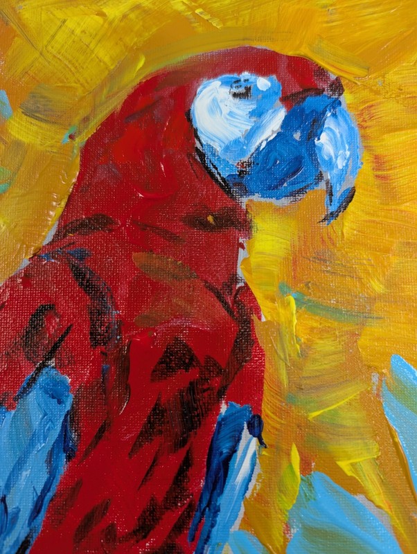 Scarlet Macaw Parrot 11x14 Painting Fauvist Tropical Red Yellow Canvas SWhite gallery