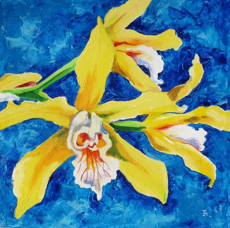Akimova: ORCHIDS, still life, flower, acrylic, 10″x 10″