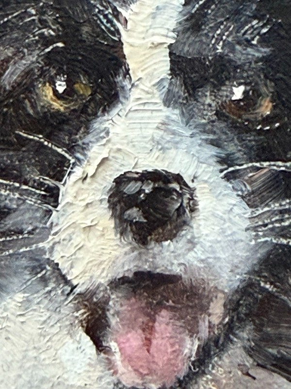 Border Collie Oil Painting Original Framed Dog Portrait Animal Art Gift 6х4in gallery