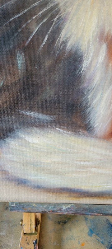 Painting oil canvas, cat, 40x40cm, hand painted, signed, NO FRAME gallery