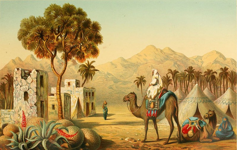 perfect oil painting handpainted on canvas «Arab riding on a camel»@NO7705