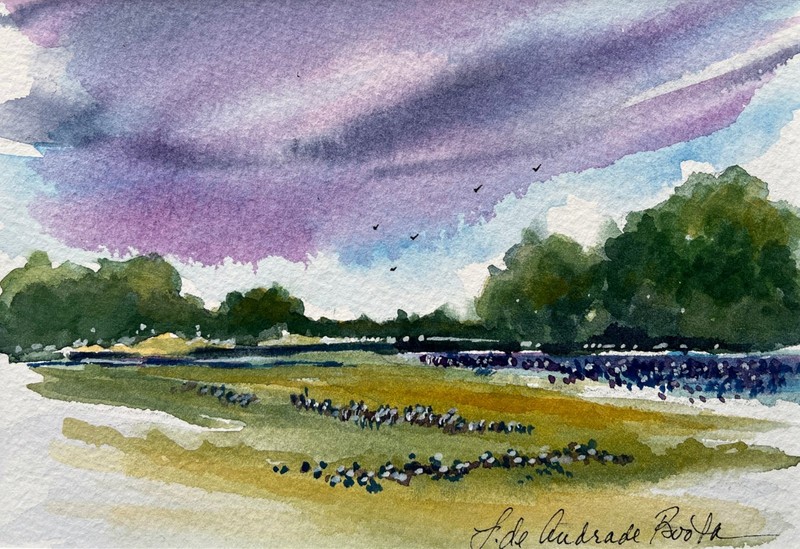 8×10 Original Texas Landscape Watercolor Painting Impressionist Artist Signed