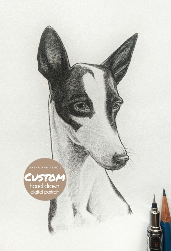 CUSTOM pencil hand drawn DOG portrait Painting drawing dog pet (DIGITAL PICTURE)