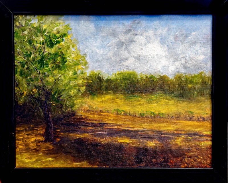 Plein Air Field 11×14 Framed Original Oil Painting on Board by Artist Blanksy