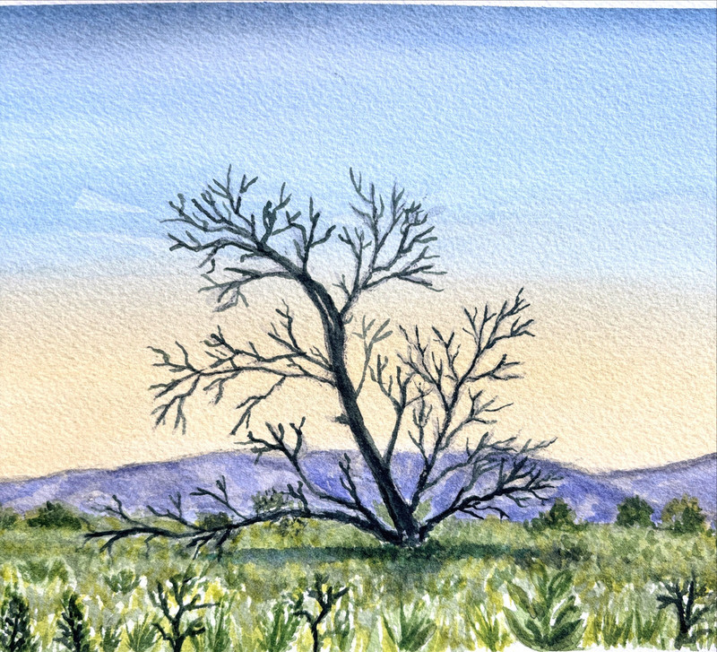 Original watercolor painting 7 X 10" landscape Artist Signed gallery