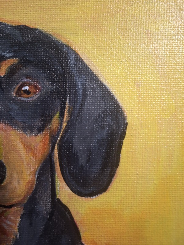 Original Vibrant Dachshund 8x10 Signed Acrylic Canvas Contemporary Art Painting gallery