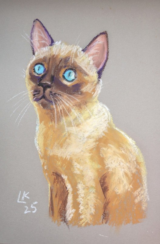 Siamese Cat Art 12×8 Original Pastel Painting Signed Collectible