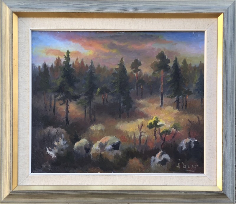 Impressionist Evening Landscape Forest Clearing Spruces Firs Rocks Sky Clouds