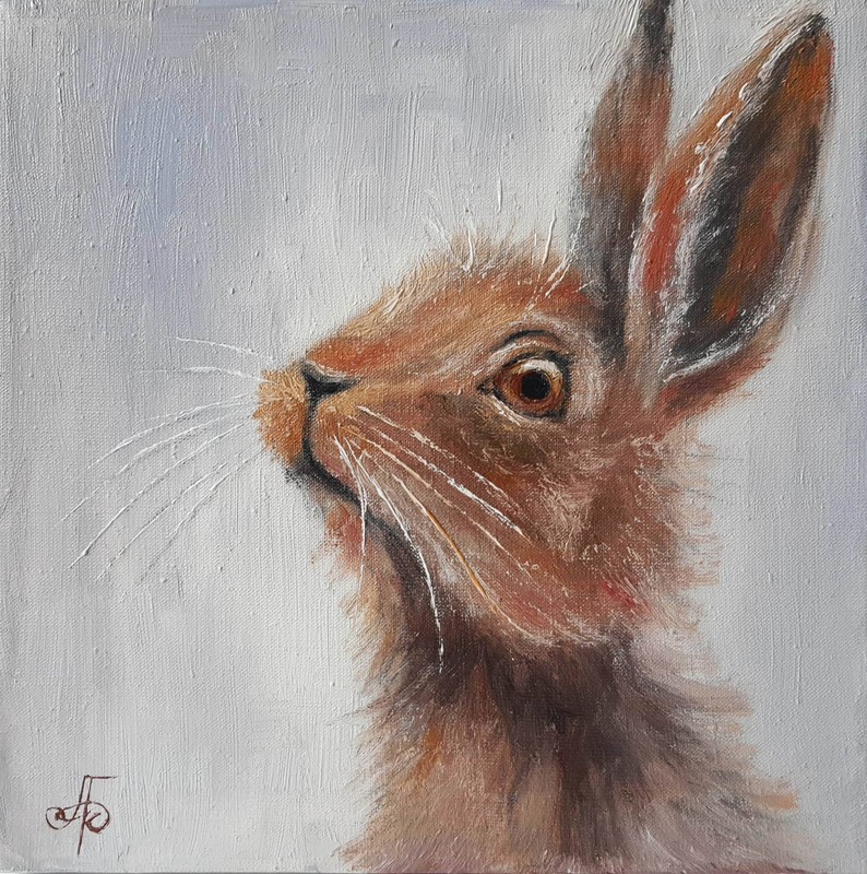 Original Oil Animal Painting Hare Portrait Wildlife Art Soft Ukrainian Artist