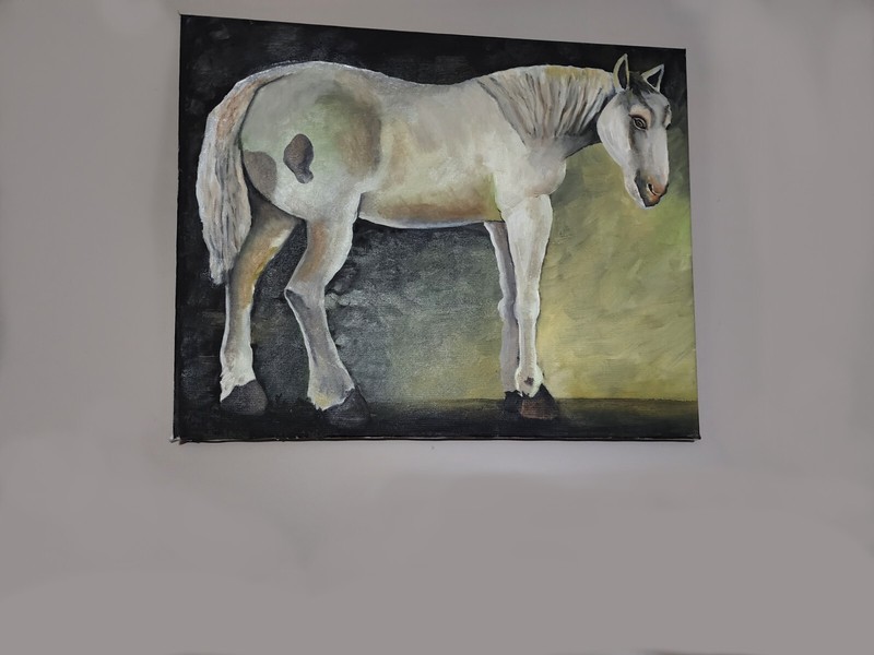 White Horse oil painting 16” x 20” comes with hardware and ready to hang.