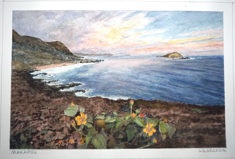 Hawaii Watercolor Painting «Makapuu w. Flowers, Oahu» by Larry Segedin #175