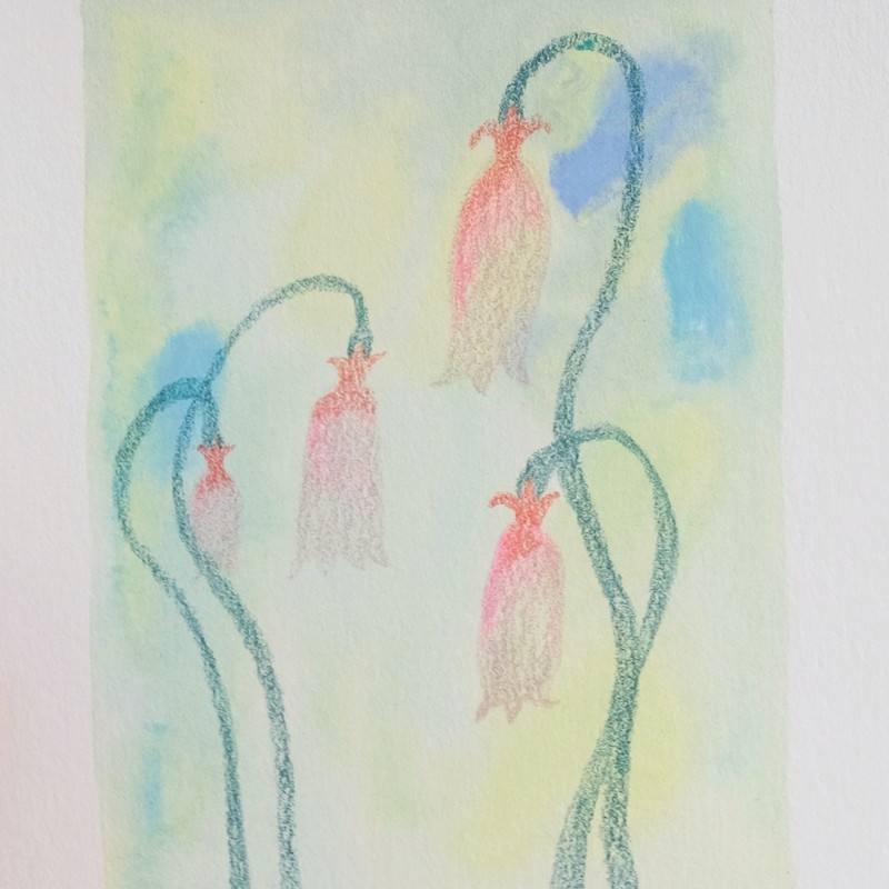 Orange Snowdrop Gouache Mystery Wildflower Painting 100% Cotton Paper 5" x 7" gallery