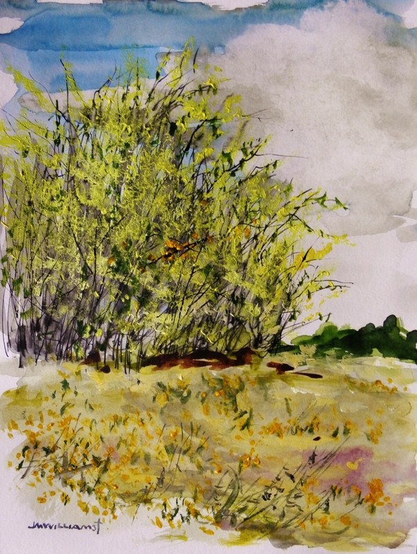 Forsythia and Dandelions