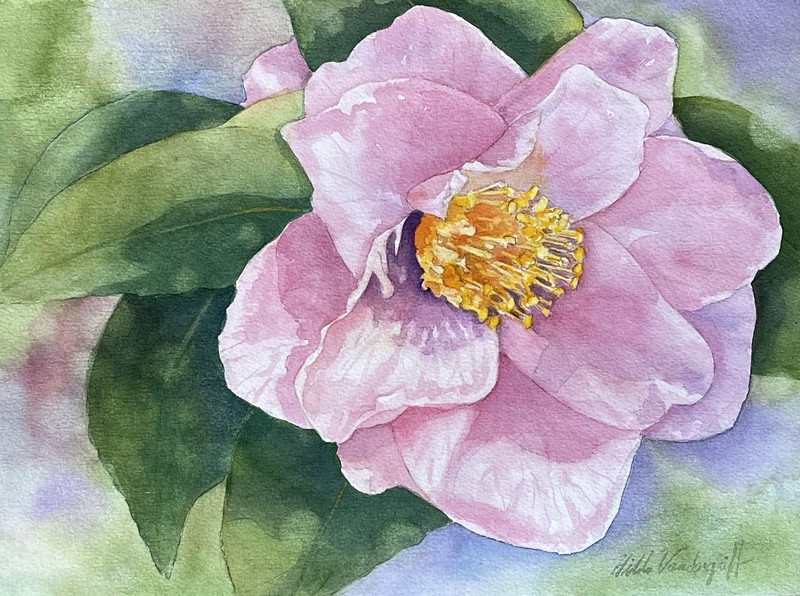 Camellia Pink Flower Original Watercolor Painting