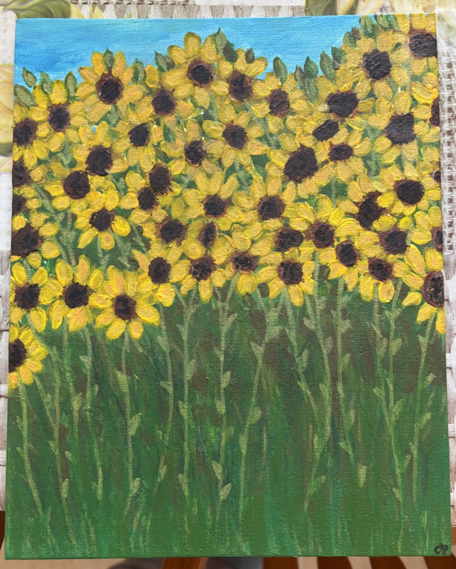 Field of Sunflowers