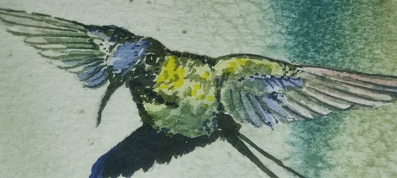 Original Artwork Watercolor Painting Purple Iris Hummingbird Signed John Stengel gallery