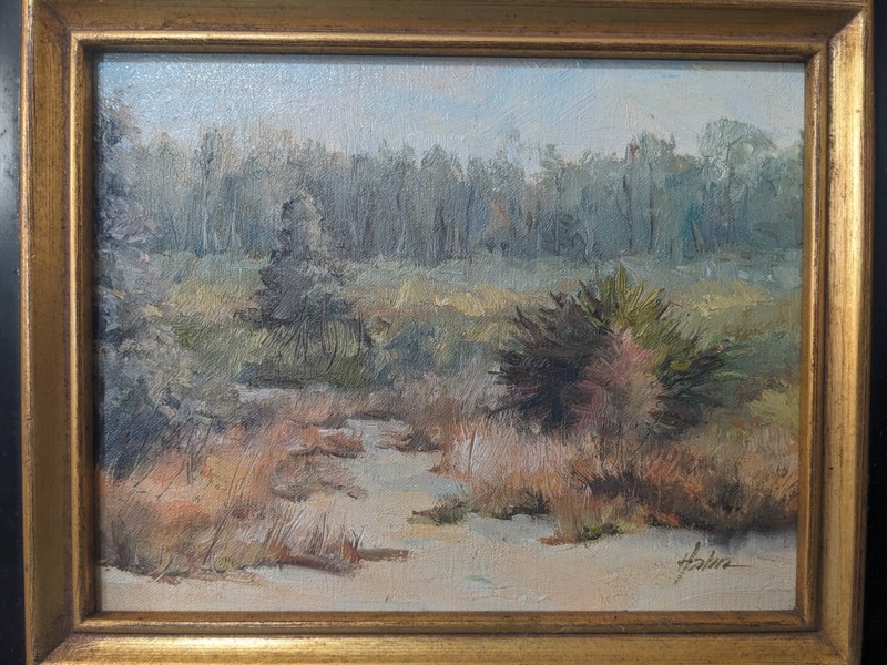Signed Oil Painting by Elaine Hahn 8 X 10 Marsh View Probably a Florida Painting