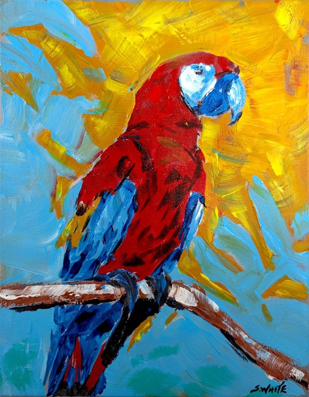 Scarlet Macaw Parrot 11x14 Painting Fauvist Tropical Red Yellow Canvas SWhite gallery