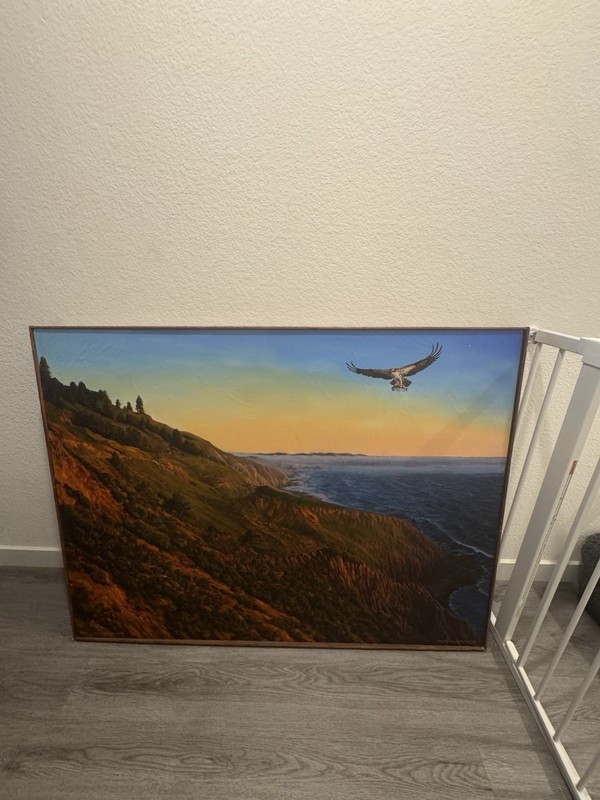 TIMOTHY D DIXON «Sunset Cliffs «ORIGINAL OIL PAINTING SIGNED NAPA SONOMA VALLEY