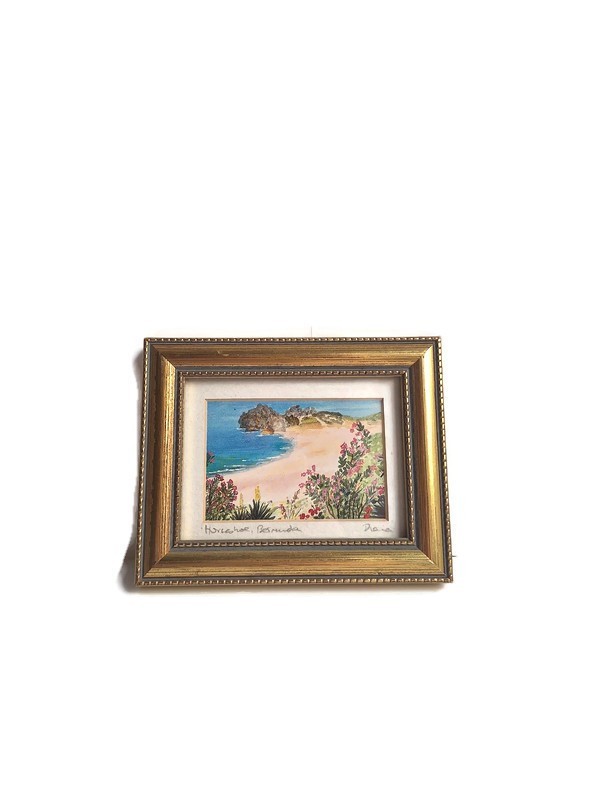 Horseshoe Bermuda Miniature Painting Framed Vintage Beach Coast Floral Art