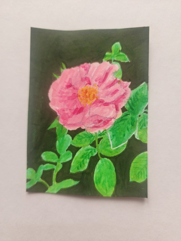 ACEO Original Abstract Acrylic Painting of a Pink Rose Flower by Kiva