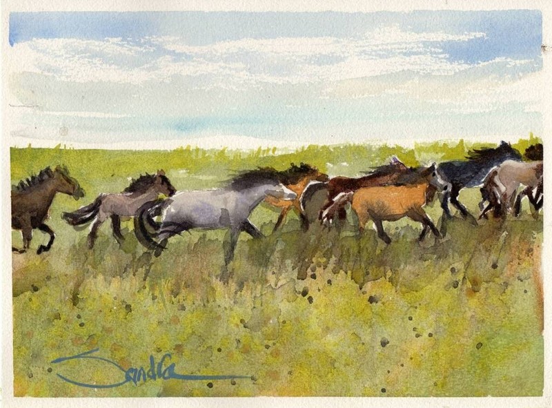 Wild Horses Run : Sandra Watercolors™ California : ORIGINAL PAINTING