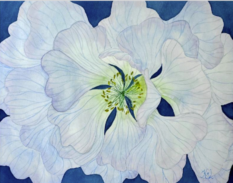 PAINTING WATERCOLOR 11X14 & DOUBLE MAT 16X20 FLOWER ANEMONE BLUE LAVENDER PURPLE