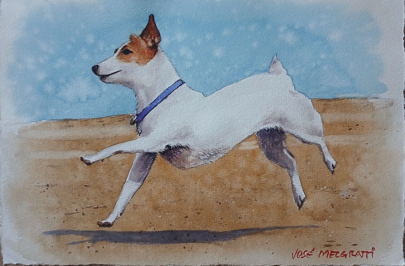 Original Watercolor Painting Freedom 8″ x 12″ NOT A PRINT