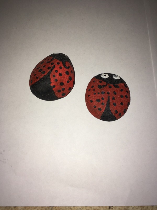 Painted Ladybugs Rocks set of Two Ladybugs gallery
