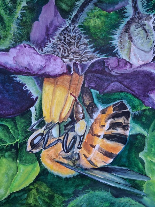 Seilonen, Bee with Me, Laguna Nigel Botanical Garden, CA, 11 by 14 in Watercolor
