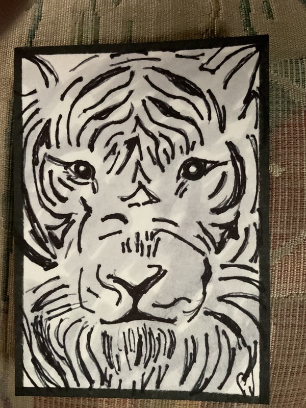 ACEO watercolor art by PJ, art card 2.5 x 3.5: tiger in black and white. gallery